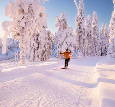 lapland voigt travel